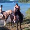 joli lac chevaux 1
